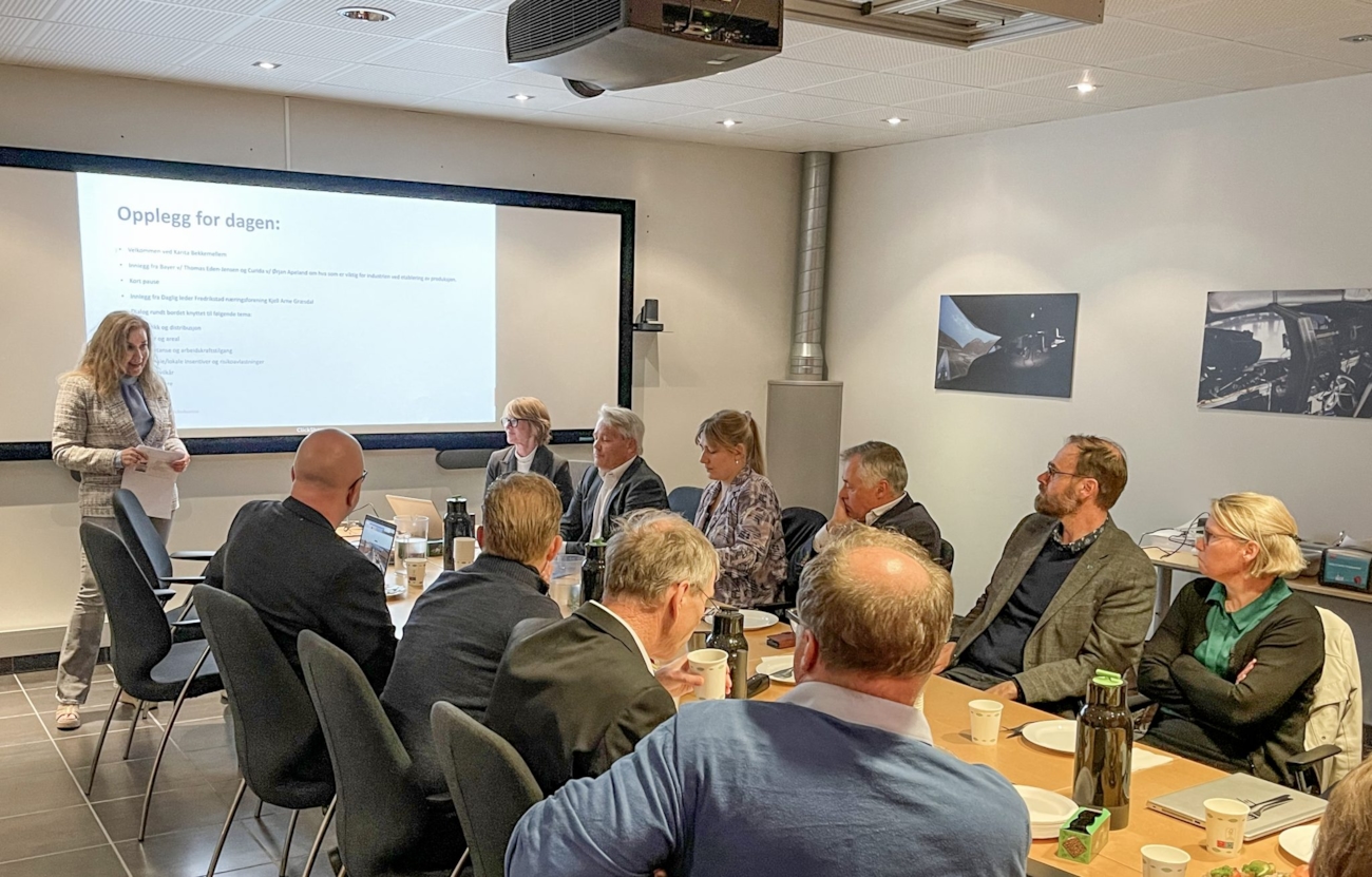 NHO Geneo direktør Karita Bekkemellem presenterer under rundebordskonferanse